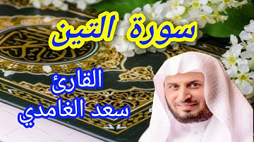سورة التين - القارئ سعد الغامدي