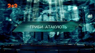 Гриби атакують - Загублений світ. 2 сезон. 120 випуск