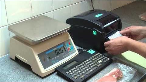 SOLO Weigh Scales System