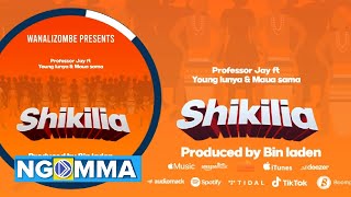 Professor Jay Ft Young Lunya & Maua Sama  - Shikilia