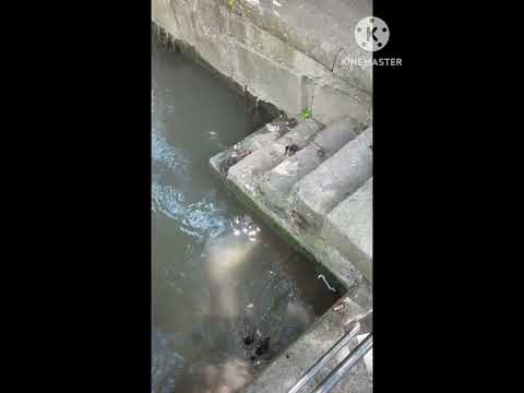 Город Тюбинген в Германии,