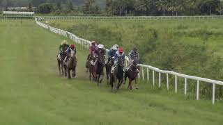 Vidéo de la course PMU PRIX DE LA FORET DE MONTRAVAIL