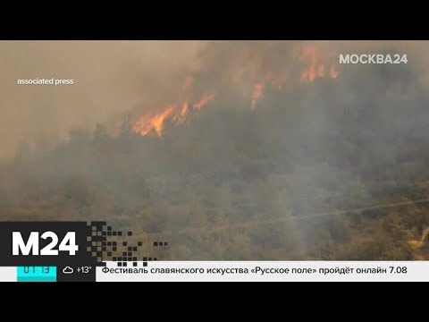 В России бушуют лесные пожары - Москва 24