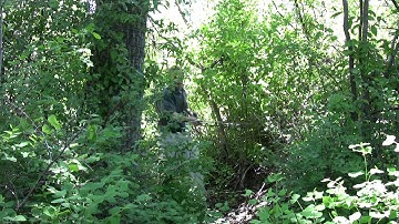 ARDF  -- Get out and Hunt