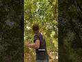 Unique catapult #bamboo #animallife #explore #nature #animals #shortvideo