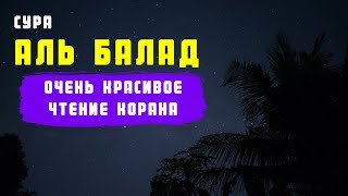 КРАСИВОЕ ЧТЕНИЕ КОРАНА! СУРА АЛЬ БАЛАД. АРБИ АШ-ШИШАНИ