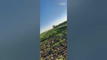اواخر سورة الحشر🌺القارئ ابو صهيب صوت يرح القلب♥