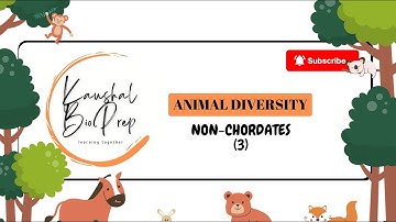 JKPSC ZOOLOGY 2025 ANIMAL DIVERSITY NON CHORDATES (3) CANAL SYSTEM IN PORIFERA