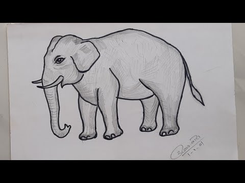 Elephant Sketch by Slawisk on deviantART  Elephant sketch Elephant Sketch  painting