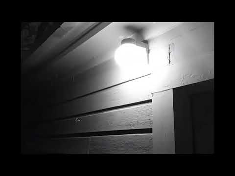 INTRIGRUING | Please Love My Computer Game