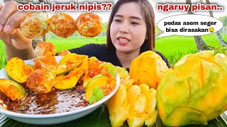 Ngerujak Disawah⁉️ Makan Rujak Mangga Jeruk Nipis Nanas Muda Sambel Pedas Asem Seger Resimi