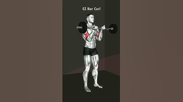 The EZ Bar Curl is a great Upper Arm exercise - Save and try your next workout