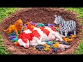 Review Aneka Mainan Hewan, Sapi, Kerbau, Gajah, Kuda, Domba