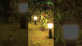 Solar Garden Light Outdoor