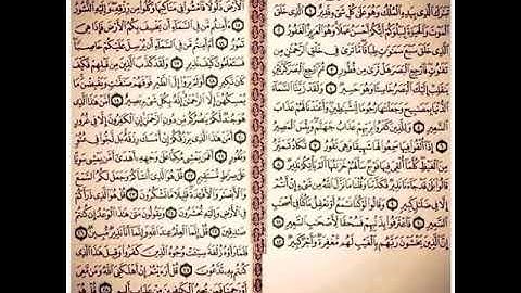 سوره الملك كامله للشيخ احمد العجمي فضل قرأتها في صندوق الوصف 🕊🕊