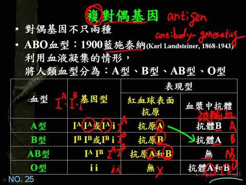 10701高二基礎生物ch4 2 10非孟德爾式的遺傳方式 複對偶基因與等顯性二毅