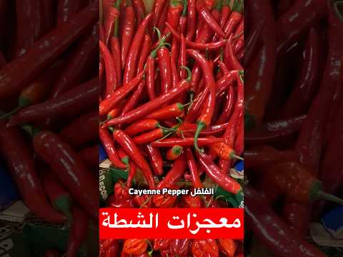 الفلفل الاحمر والرئتين لن تصدق الفوائد دكريم على فكر تانى