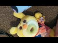 Youtube Thumbnail title