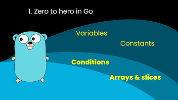 Zero to hero in Go programming language #1 - Variables, Constants, Conditions, Arrays & Slices