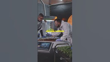 Genomics for Climate-Smart Cereals #sciencefather #researchaward #genomic #professor #lecture