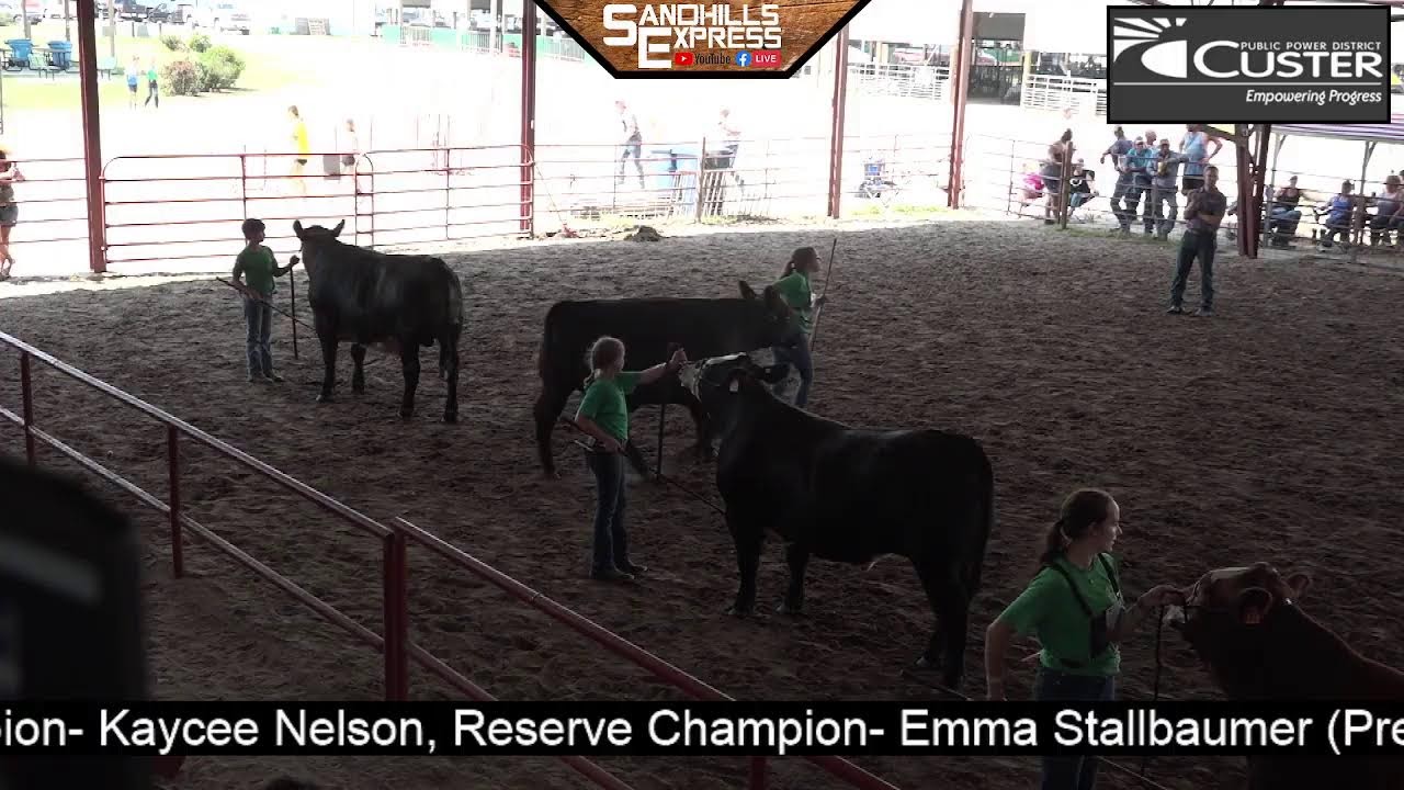 2024 Custer County Fair Day 2 YouTube