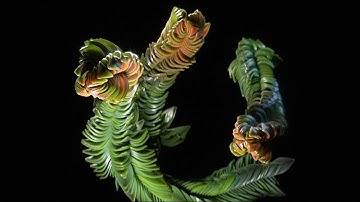 GrowInfinite 1.2.1 update