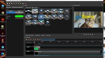 Chroma Key con OpenShot