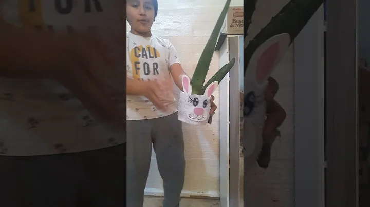maceta reciclada
