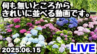 紫陽花 あっちゃんさんセレクト❤️ ◇【無】から【有】…… はっ!? - YouTube