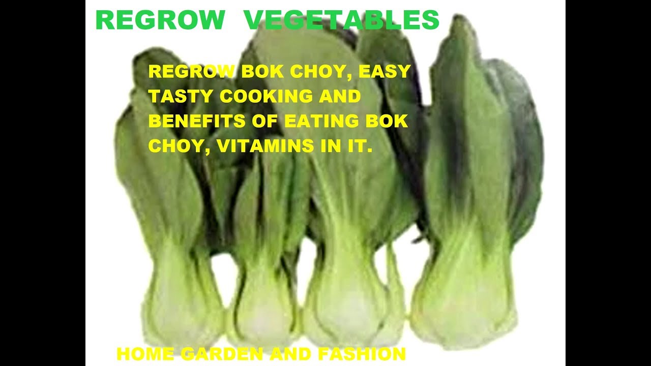 HOW TO REGROW BOK CHOY AND COOK IT VERY TASTY||VEGAN VEGETARIAN COOKING