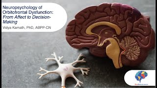 Neuropsychology of Orbitofrontal Dysfunction: From Affect to Decision-Making