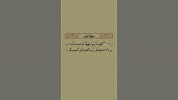 سورة إبراهيم فارس عباد
