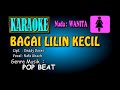 BAGAI LILIN KECIL Nafa Urbach [karaoke]