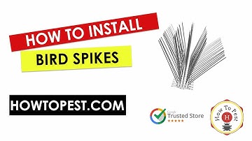 How to Install Bird Spikes – Easy DIY Guide to Stop Pigeons & Seagulls
