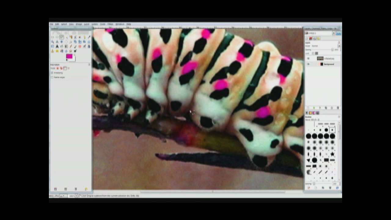 Gimp Videotutorial ITA - Lezione 3 (Parte 1) - YouTube