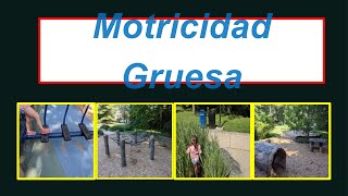 Motricidad Gruesa / Libre Movimiento