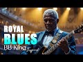 🎸B.B. King’s Inspired Blues Reborn – A Soulful Tribute Like Never Before!