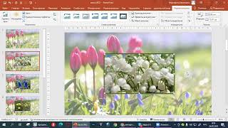 Урок 2. PowerPoint - как заменить цвет контура картинки screenshot 5