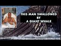 Diver Swallowed Down by Humpback Whale Survives@MysteryUniverse