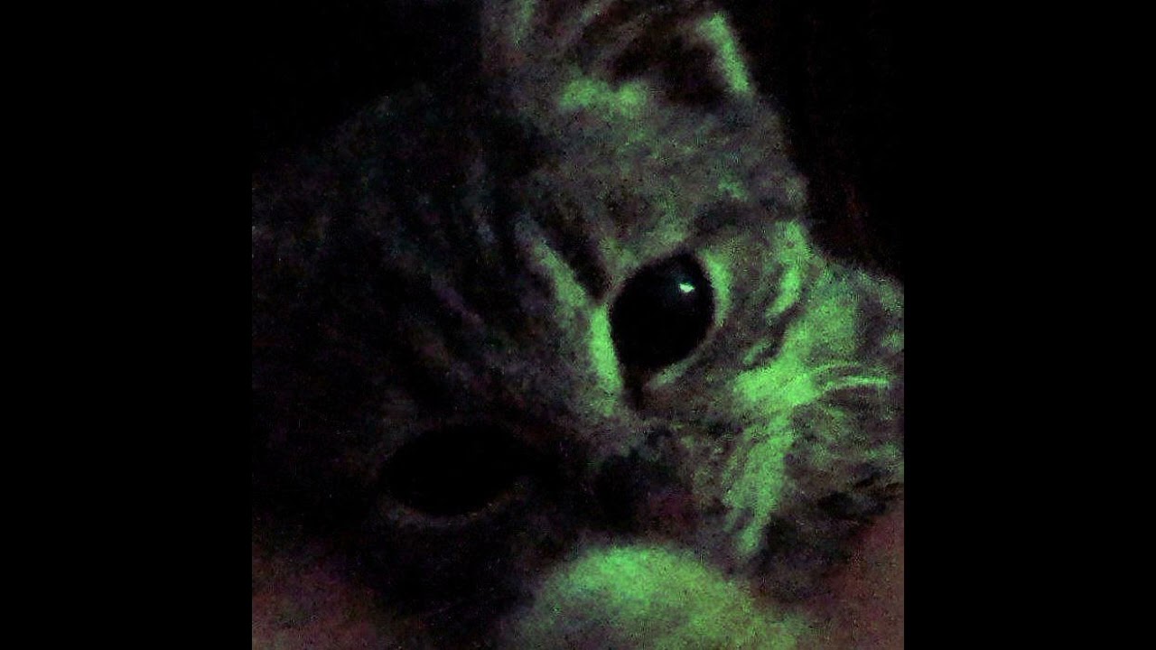 [FREE] SAD DESTROY LONELY x KEN CARSON x TRAVIS SCOTT TYPE BEAT -  UNIVERSE