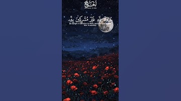 القرآن الكريم سورة الحج - الآية 31