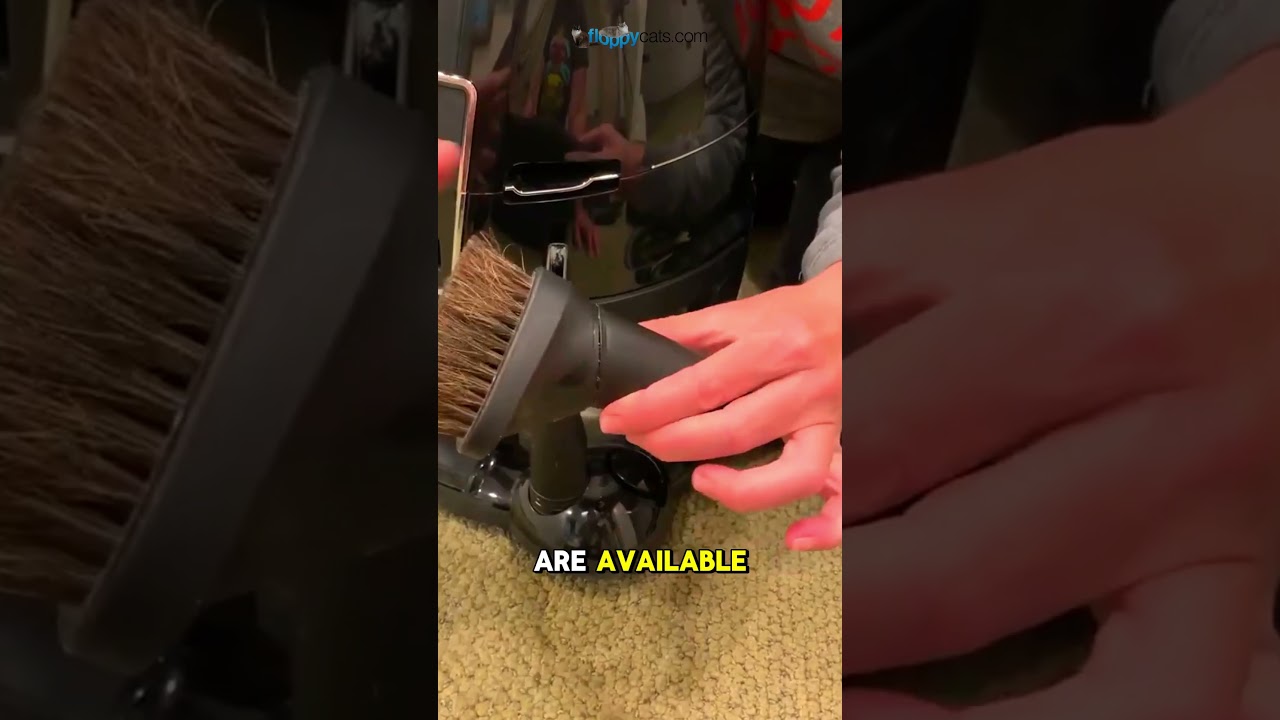 5 Surprising Benefits of Using HYLA EST Water Vacuum! 🐸💦