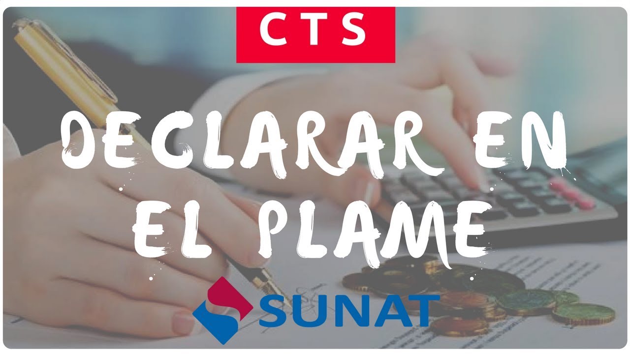Como Declarar CTS en el PDT PLAME - YouTube