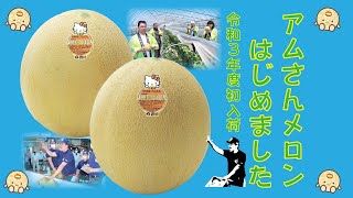 「アムさんメロンはじめました」令和3年度初入荷