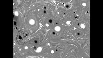 2D Turbulent Vorticity