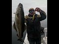 Hard lures for saltwater fishing by #FISHMACHINE