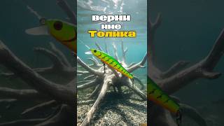 Когда зацепился #рыбалка #приманка #улов