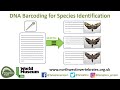 DNA Barcoding for Species Identification