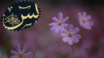 sourat yassine سورة يس/أحمد سعيد العمراني