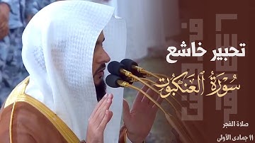 ﴿وَيَرحَمُ مَن يَشاءُ﴾ تحبير خاشع من سورة العنكبوت للشيخ د. عبدالله القرافي ~ صلاة الفجر 11-5-1446هـ